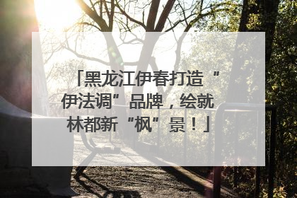 黑龙江伊春打造“伊法调”品牌，绘就林都新“枫”景！