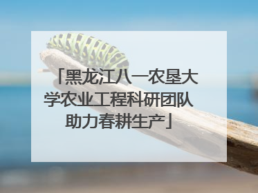 黑龙江八一农垦大学农业工程科研团队助力春耕生产