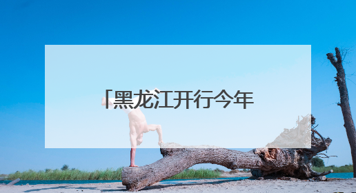 黑龙江开行今年首趟“纵横中国·龙泰号”援疆银发旅游专列