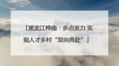黑龙江桦南：多点发力 实现人才乡村“双向奔赴”