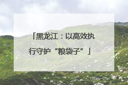 黑龙江：以高效执行守护“粮袋子”