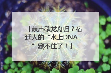 鼓声歇龙舟归？宿迁人的“水上DNA”藏不住了！