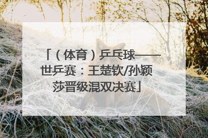 （体育）乒乓球——世乒赛：王楚钦/孙颖莎晋级混双决赛