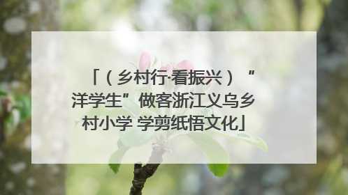 （乡村行·看振兴）“洋学生”做客浙江义乌乡村小学 学剪纸悟文化