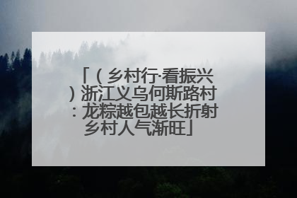 （乡村行·看振兴）浙江义乌何斯路村：龙粽越包越长折射乡村人气渐旺