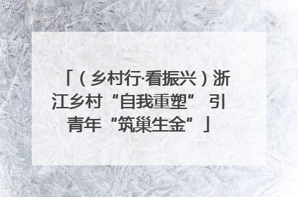 （乡村行·看振兴）浙江乡村“自我重塑” 引青年“筑巢生金”