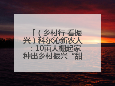 （乡村行·看振兴）科尔沁新农人：10亩大棚起家种出乡村振兴“甜蜜果”