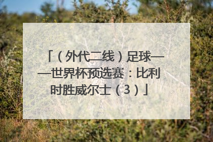 （外代二线）足球——世界杯预选赛：比利时胜威尔士（3）