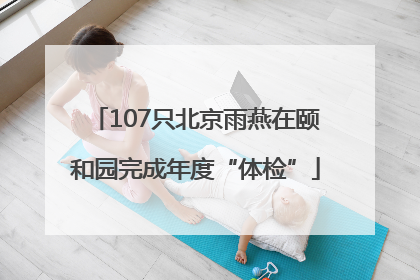107只北京雨燕在颐和园完成年度“体检”