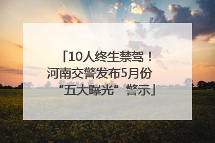 10人终生禁驾！河南交警发布5月份“五大曝光”警示