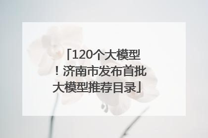 120个大模型！济南市发布首批大模型推荐目录