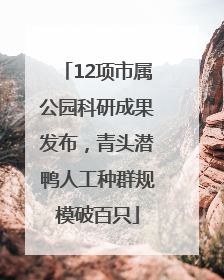 12项市属公园科研成果发布，青头潜鸭人工种群规模破百只