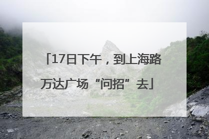 17日下午，到上海路万达广场“问招”去