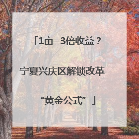 1亩=3倍收益？宁夏兴庆区解锁改革“黄金公式”