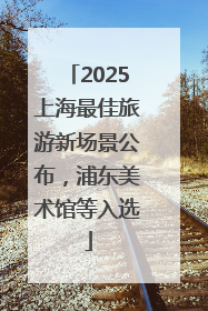 2025上海最佳旅游新场景公布，浦东美术馆等入选