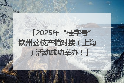 2025年“桂字号”钦州荔枝产销对接（上海）活动成功举办！