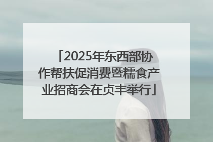 2025年东西部协作帮扶促消费暨糯食产业招商会在贞丰举行