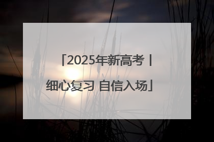 2025年新高考丨细心复习 自信入场