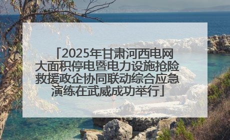2025年甘肃河西电网大面积停电暨电力设施抢险救援政企协同联动综合应急演练在武威成功举行