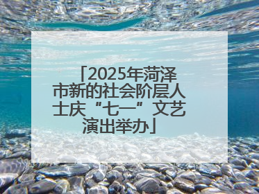 2025年菏泽市新的社会阶层人士庆“七一”文艺演出举办
