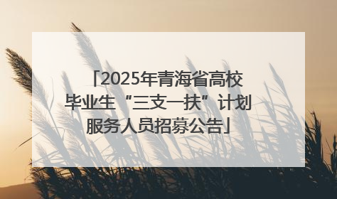 2025年青海省高校毕业生“三支一扶”计划服务人员招募公告