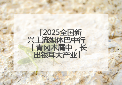2025全国新兴主流媒体巴中行丨青冈木屑中，长出银耳大产业
