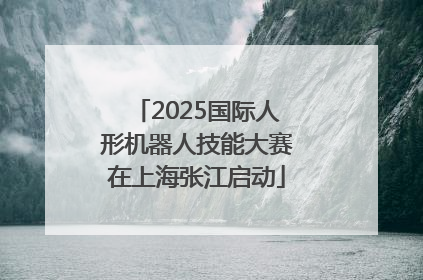 2025国际人形机器人技能大赛在上海张江启动