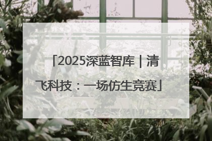 2025深蓝智库｜清飞科技：一场仿生竞赛