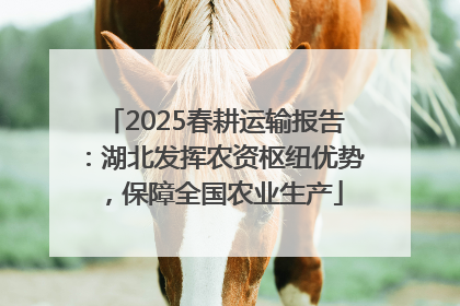 2025春耕运输报告：湖北发挥农资枢纽优势，保障全国农业生产