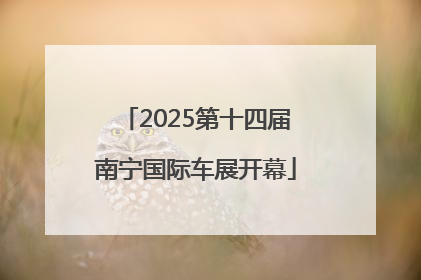 2025第十四届南宁国际车展开幕