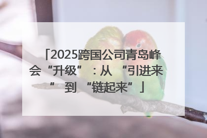 2025跨国公司青岛峰会“升级”：从 “引进来” 到 “链起来”