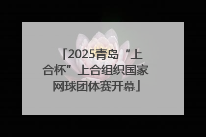 2025青岛“上合杯”上合组织国家网球团体赛开幕