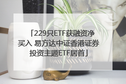 229只ETF获融资净买入 易方达中证香港证券投资主题ETF居首