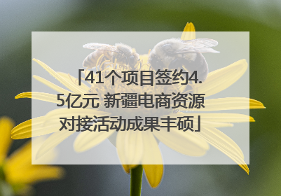 41个项目签约4.5亿元 新疆电商资源对接活动成果丰硕