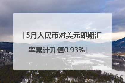 5月人民币对美元即期汇率累计升值0.93%