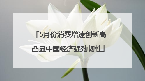 5月份消费增速创新高 凸显中国经济强劲韧性