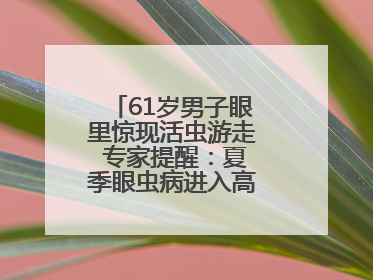 61岁男子眼里惊现活虫游走 专家提醒：夏季眼虫病进入高发期注意防护