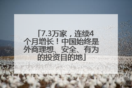 7.3万家，连续4个月增长！中国始终是外商理想、安全、有为的投资目的地