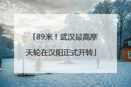 89米！武汉最高摩天轮在汉阳正式开转