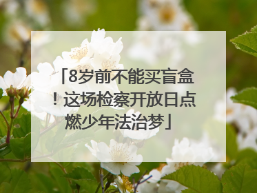 8岁前不能买盲盒！这场检察开放日点燃少年法治梦