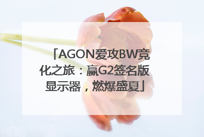 AGON爱攻BW竞化之旅：赢G2签名版显示器，燃爆盛夏