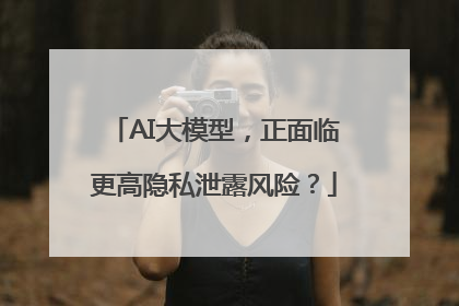 AI大模型，正面临更高隐私泄露风险？