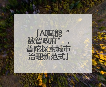 AI赋能“数智政府”，普陀探索城市治理新范式