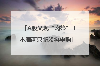 A股又现“肉签”！本周两只新股将申购