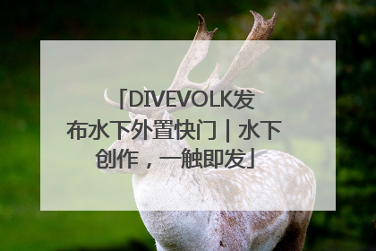 DIVEVOLK发布水下外置快门｜水下创作，一触即发