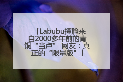 Labubu撞脸来自2000多年前的青铜“当卢” 网友：真正的“限量版”