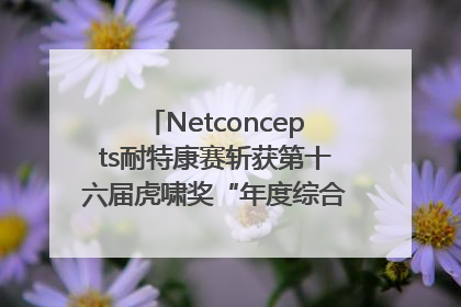 Netconcepts耐特康赛斩获第十六届虎啸奖“年度综合服务商”大奖