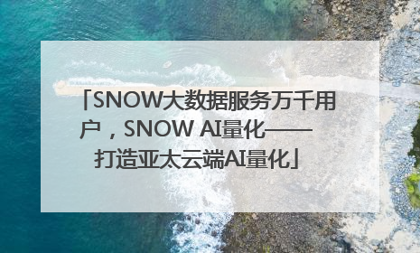 SNOW大数据服务万千用户，SNOW AI量化——打造亚太云端AI量化