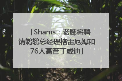 Shams：老鹰将聘请鹈鹕总经理格雷厄姆和76人高管丁威迪